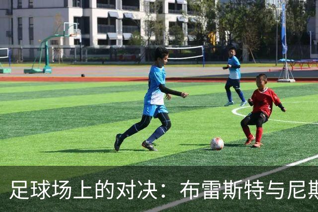 足球场上的对决：布雷斯特与尼斯的激情碰撞